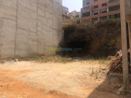 Vente Terrain Alger Saoula