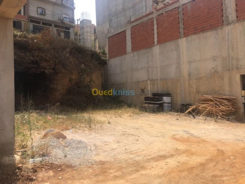 Vente Terrain Alger Saoula