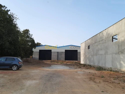 Location Hangar Alger Hraoua