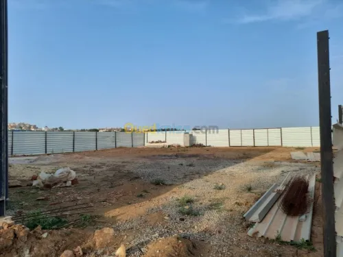 Location Hangar Alger Hraoua