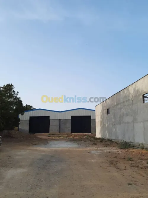 Location Hangar Alger Hraoua