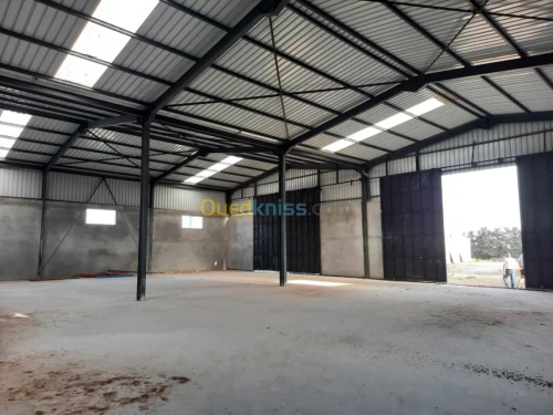 Location Hangar Alger Hraoua