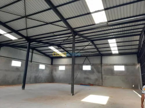 Location Hangar Alger Hraoua