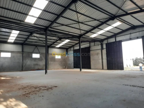 Location Hangar Alger Hraoua