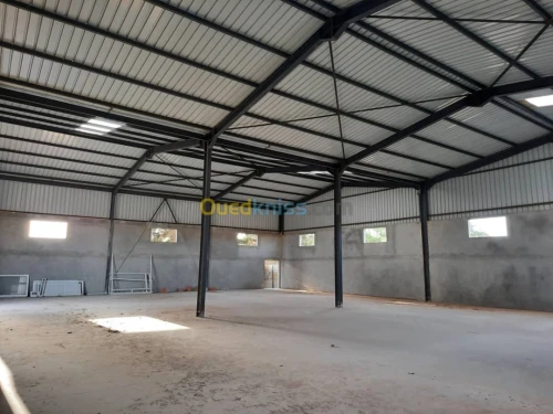 Location Hangar Alger Hraoua