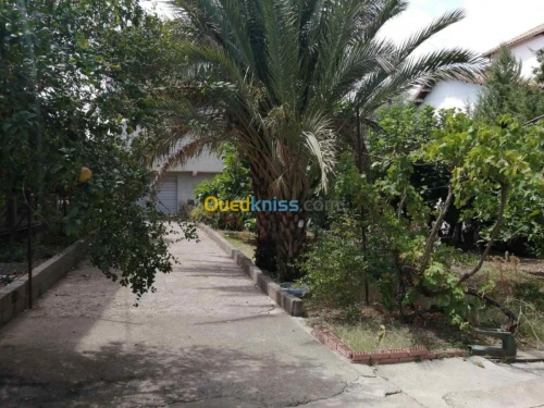 Vente Villa Tizi ouzou Azazga