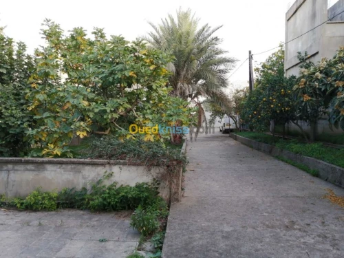 Vente Villa Tizi ouzou Azazga