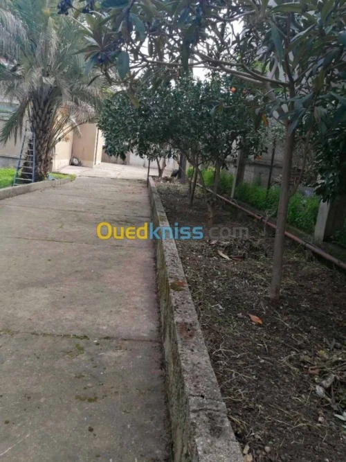 Vente Villa Tizi ouzou Azazga