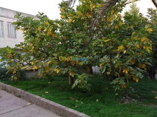 Vente Villa Tizi ouzou Azazga