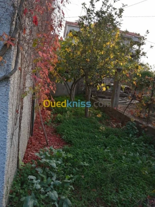 Vente Villa Tizi ouzou Azazga