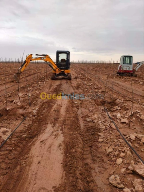 Jcb Mini pelle JCB 8030 