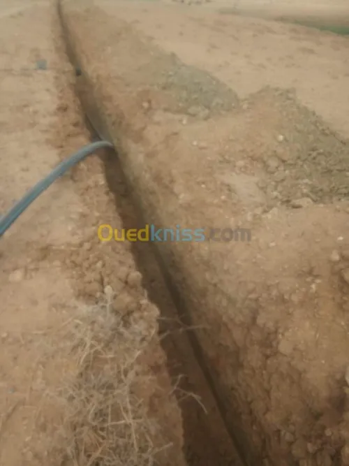 Jcb Mini pelle JCB 8030 