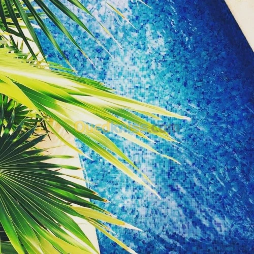 Construction piscine