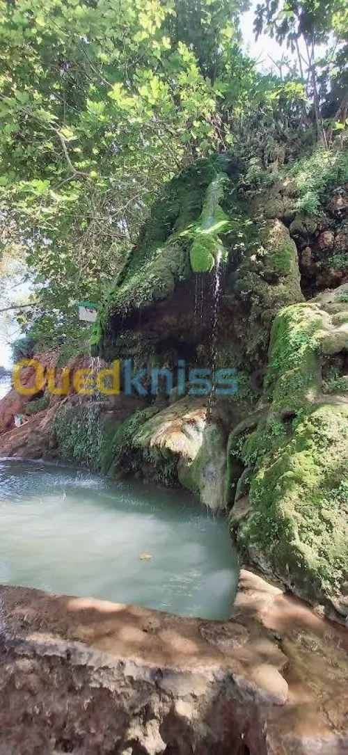 Vente Terrain Tipaza Ain tagourait