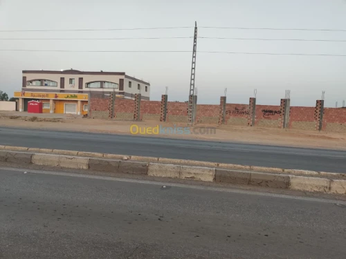 Vente Terrain Biskra Oumache