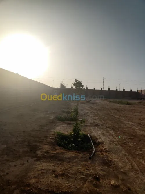 Vente Terrain Biskra Oumache