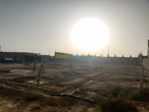 Vente Terrain Biskra Oumache