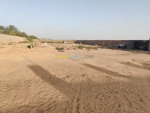 Vente Terrain Biskra Oumache