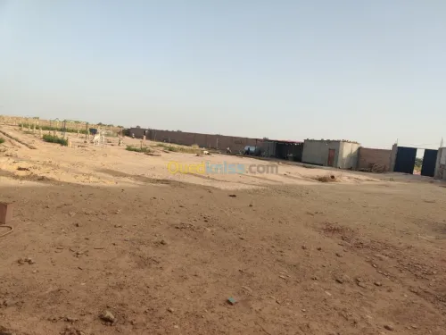 Vente Terrain Biskra Oumache