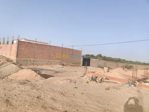 Vente Terrain Biskra Oumache