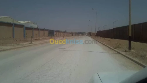 Vente Terrain Djelfa Djelfa