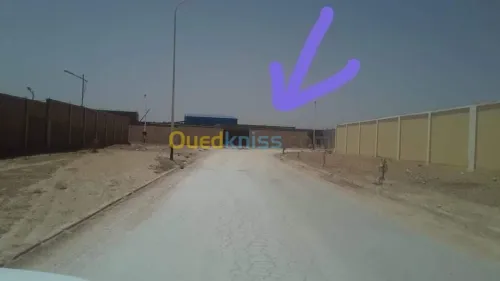 Vente Terrain Djelfa Djelfa