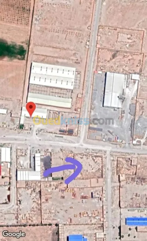 Vente Terrain Djelfa Djelfa