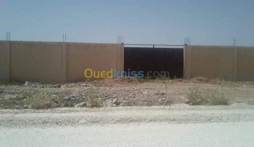 Vente Terrain Djelfa Djelfa