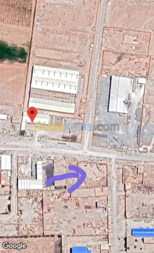 Vente Terrain Djelfa Djelfa