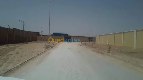 Vente Terrain Djelfa Djelfa