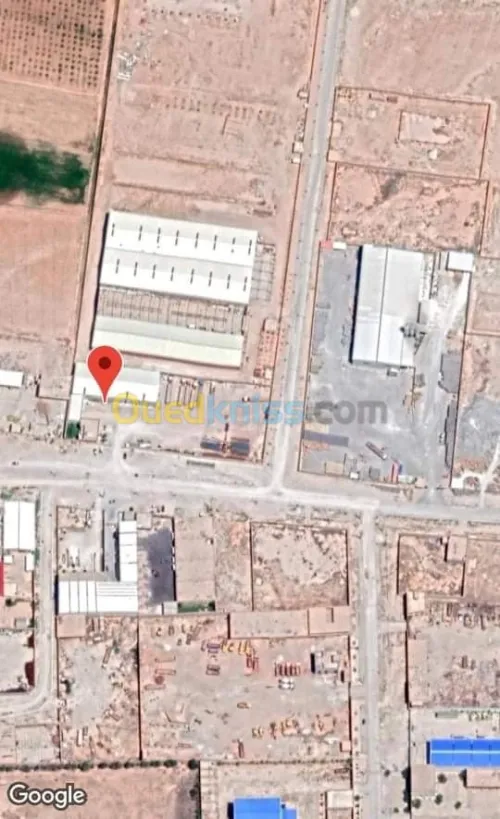 Vente Terrain Djelfa Djelfa