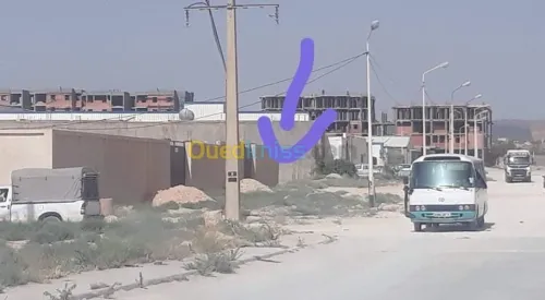 Vente Terrain Djelfa Djelfa