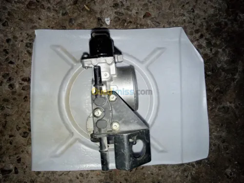 papion ta3 406 ess