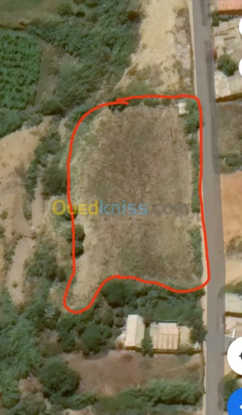 Vente Terrain Boumerdes Zemmouri