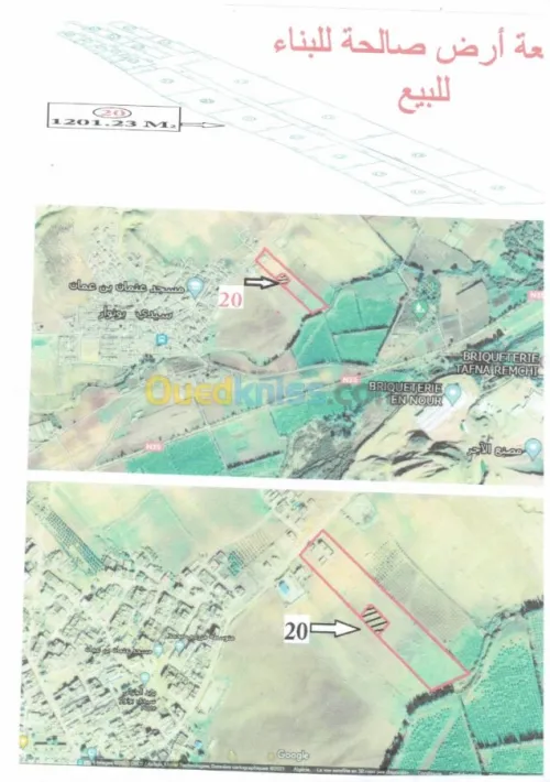 Vente Terrain Tlemcen Remchi