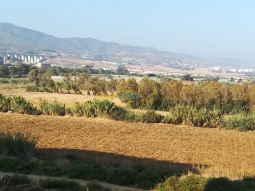 Vente Appartement F4 Tipaza Cherchell