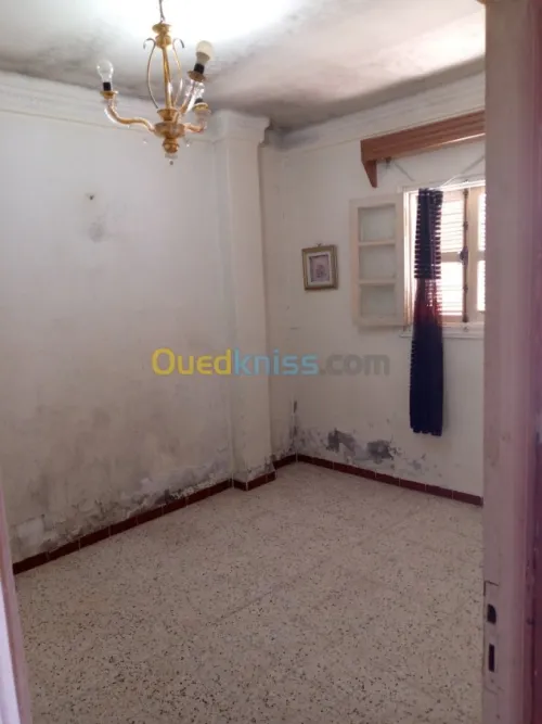 Vente Immeuble Constantine Hamma bouziane