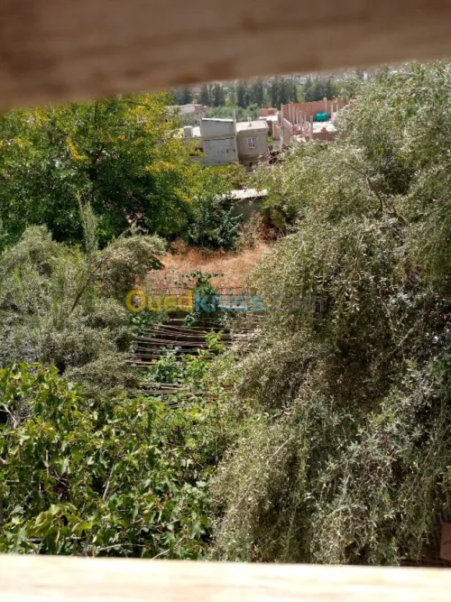 Vente Immeuble Constantine Hamma bouziane