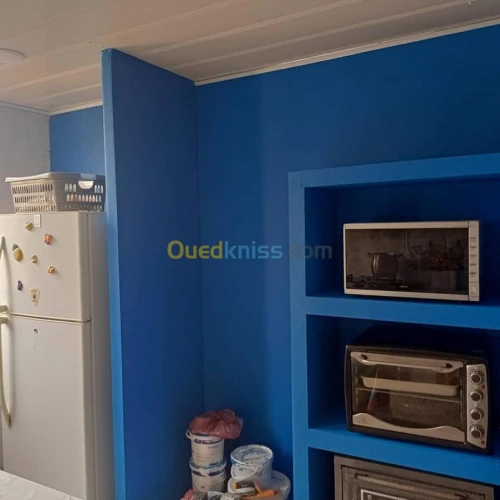 Plaques aux platres BA13 et peinture