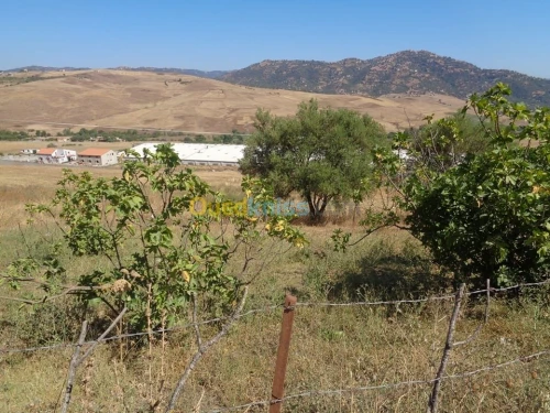 Vente Terrain Tizi ouzou Ouadhia