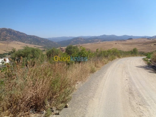 Vente Terrain Tizi ouzou Ouadhia