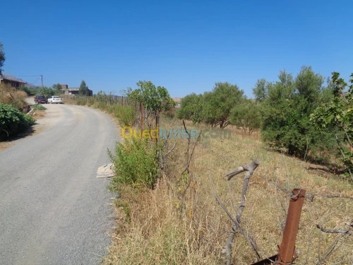 Vente Terrain Tizi ouzou Ouadhia