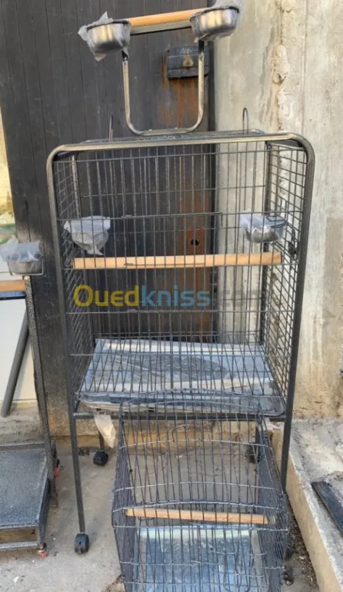 Cage et perchoir 