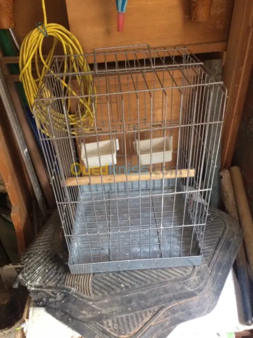 Cage et perchoir 