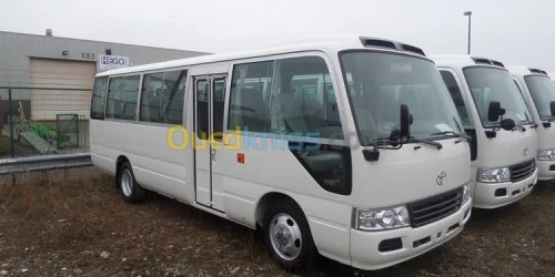 Location Bus  Minibus avec Chauffeur en Algérie  Transport Entreprises  Groupes
