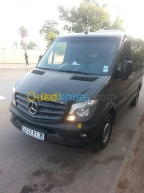 Location Bus  Minibus avec Chauffeur en Algérie  Transport Entreprises  Groupes
