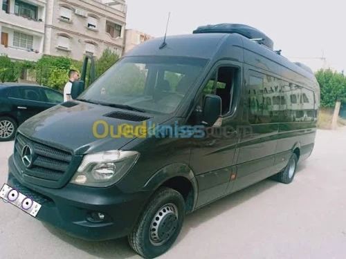 Location Bus  Minibus avec Chauffeur en Algérie  Transport Entreprises  Groupes