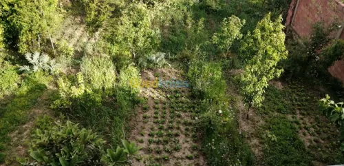 Vente Terrain Aïn Defla Miliana