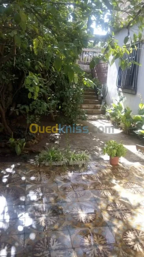 Vente Terrain Aïn Defla Miliana