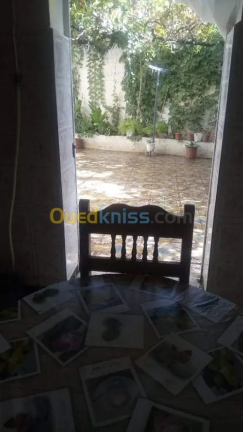 Vente Terrain Aïn Defla Miliana